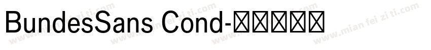 BundesSans Cond字体转换